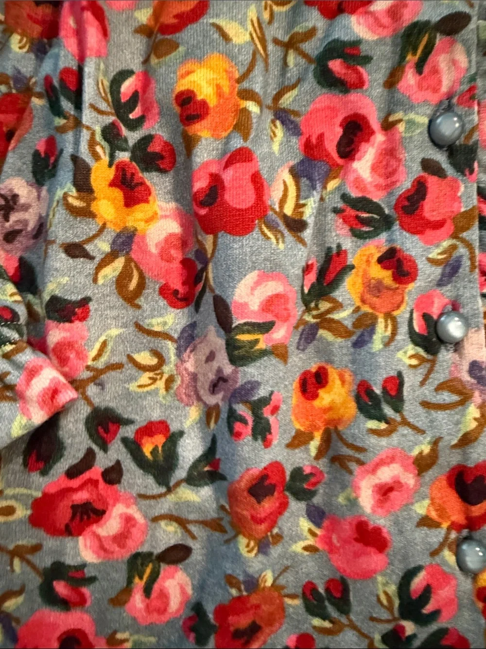 Petit Sézane Floral Button-Up Pierro Blue Top Pink & Yellow Roses size 12 New